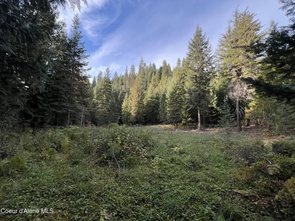 3579 Bear Creek Road Kingston ID 83839