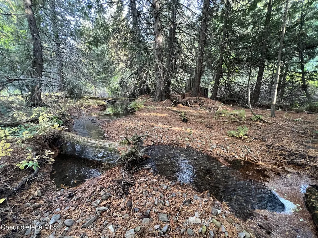 3579 Bear Creek Road Kingston ID 83839