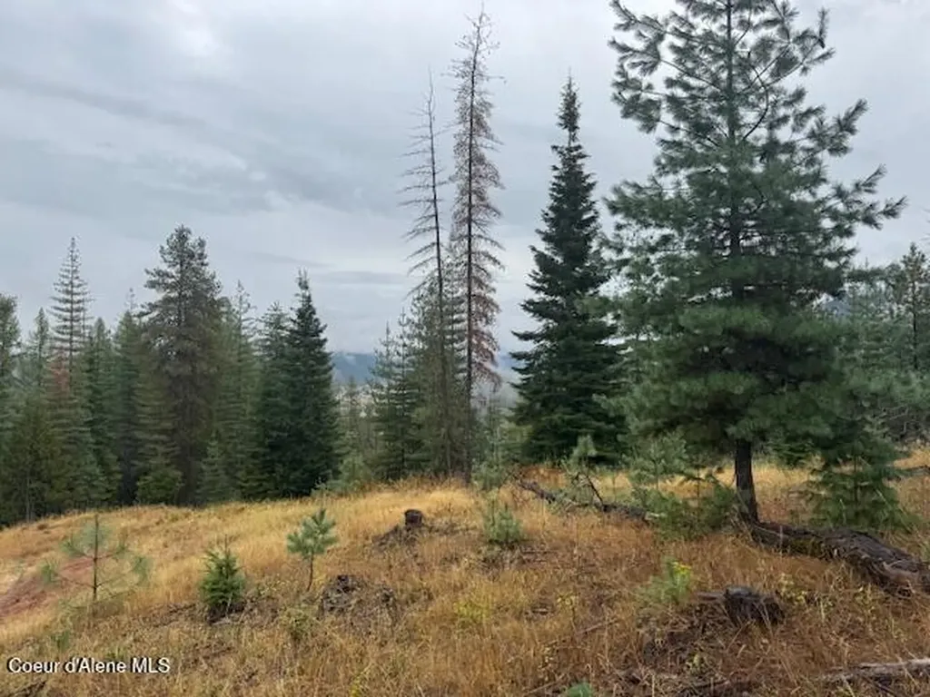 Nka Parcel B Pinehurst ID 83850