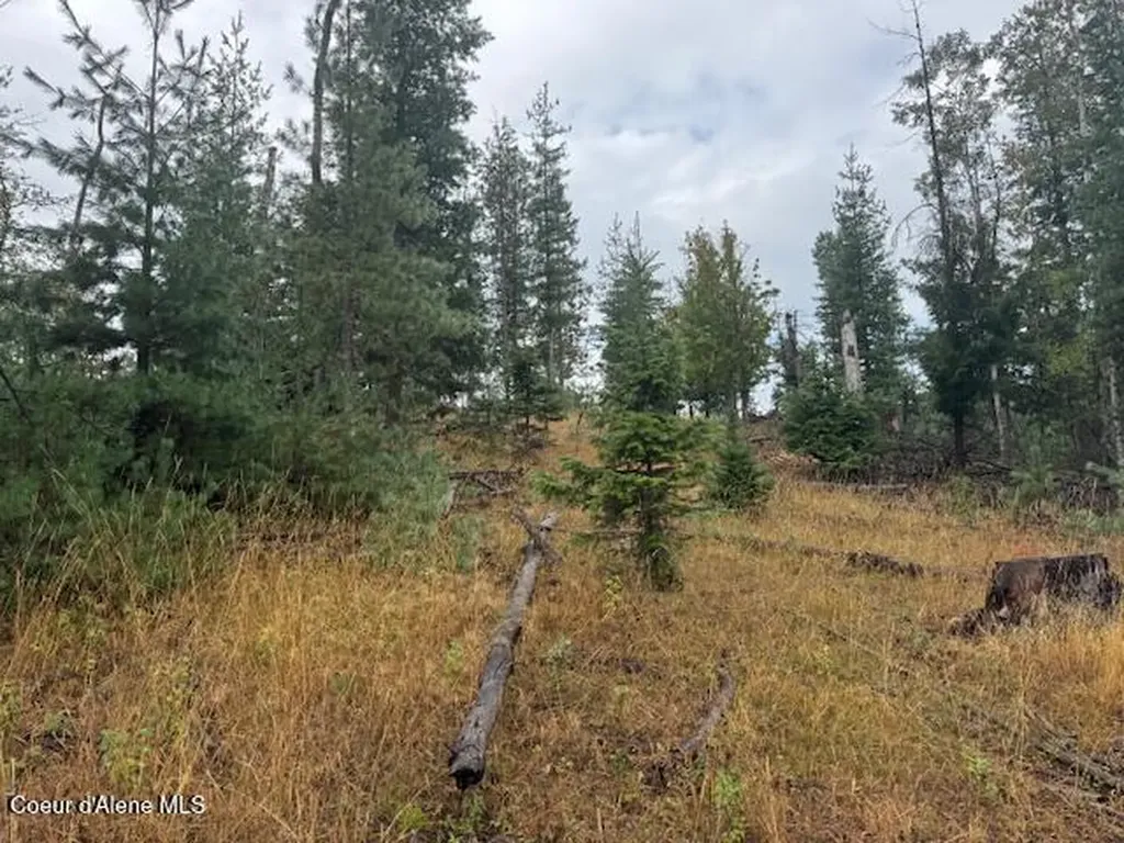 Nka Parcel B Pinehurst ID 83850