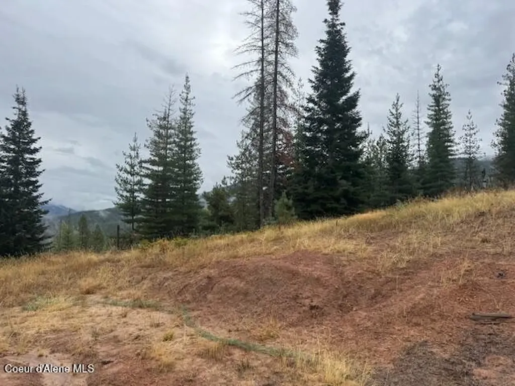 Nka Parcel B Pinehurst ID 83850
