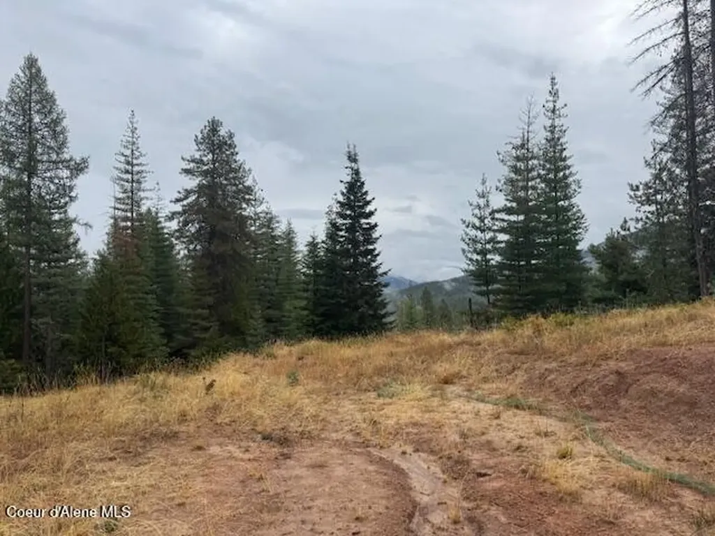 Nka Parcel B Pinehurst ID 83850