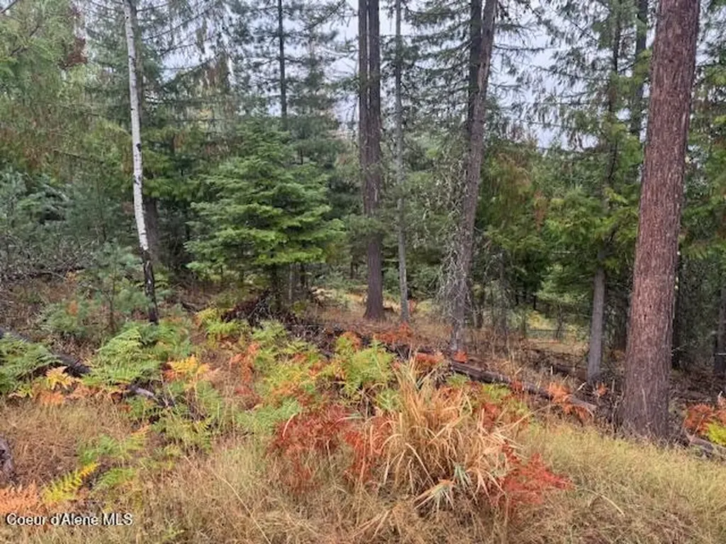 Nka Parcel B Pinehurst ID 83850