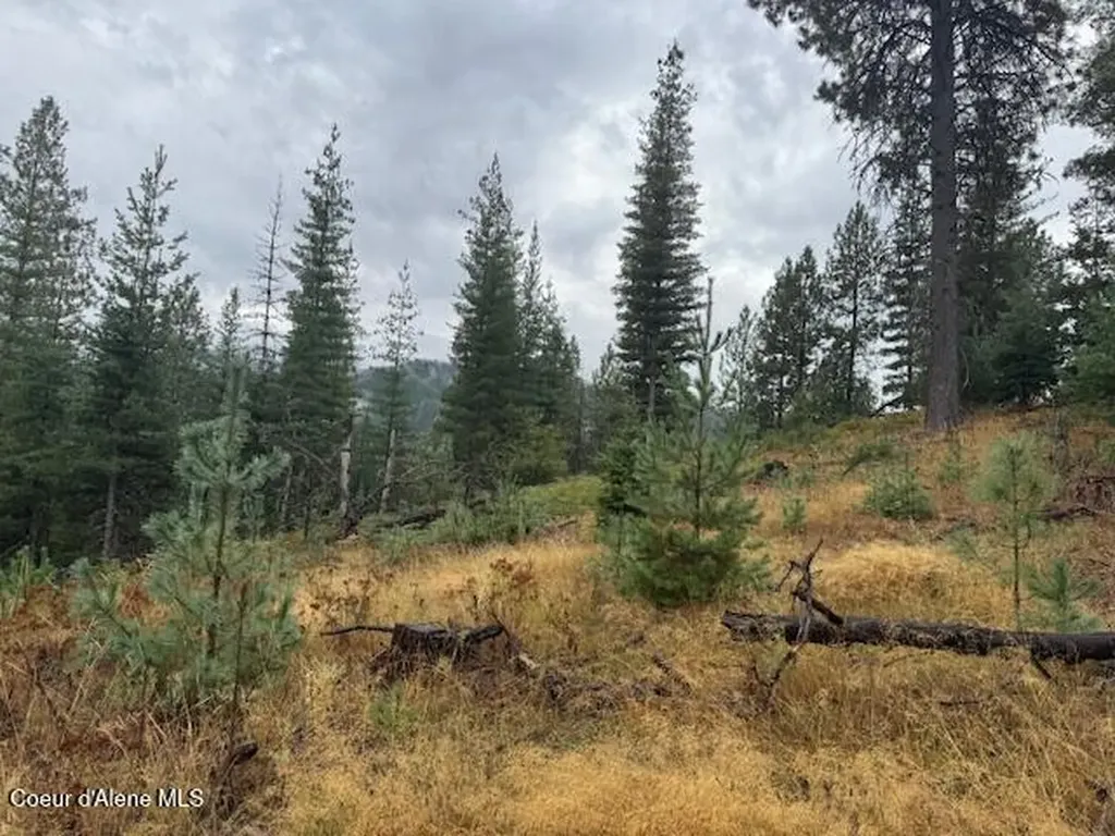 Nka Parcel B Pinehurst ID 83850
