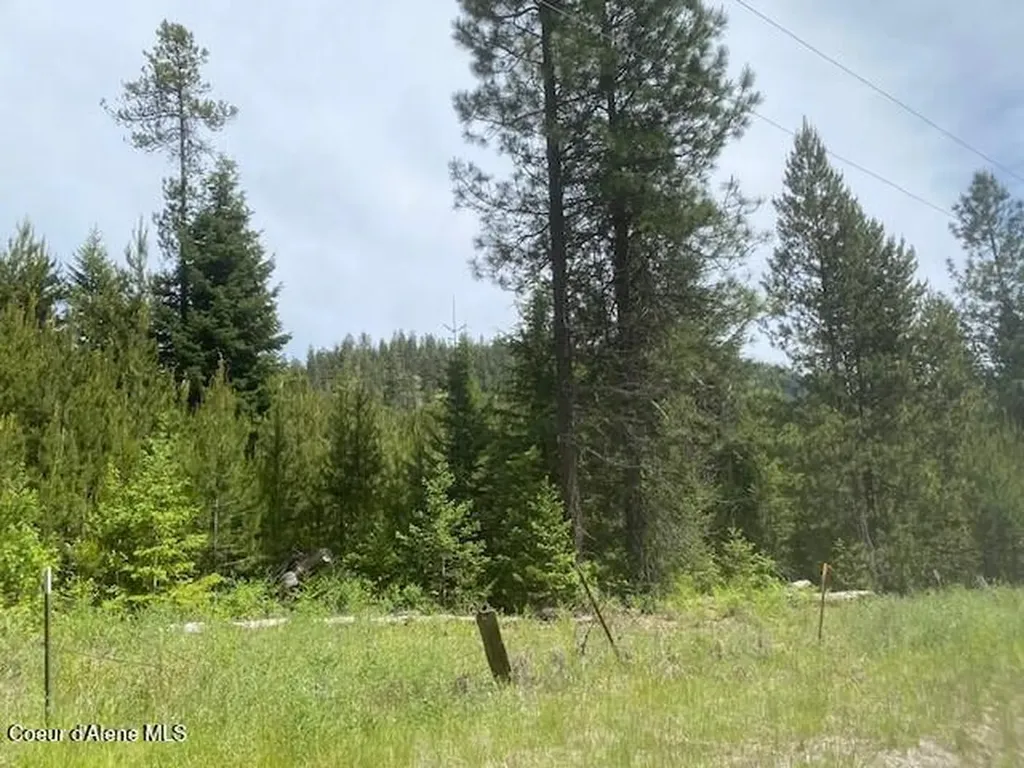 Nna 80 Acres Blue Lake Road Priest River ID 83856