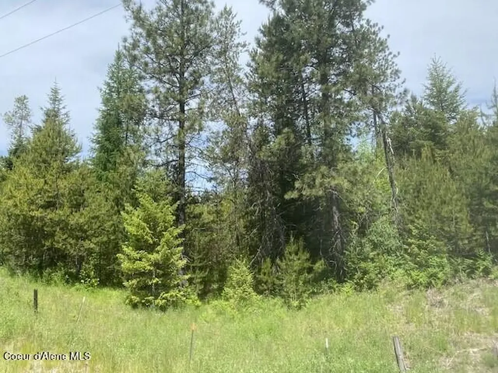 Nna 80 Acres Blue Lake Road Priest River ID 83856