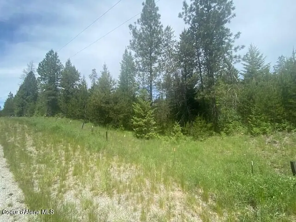Nna 80 Acres Blue Lake Road Priest River ID 83856