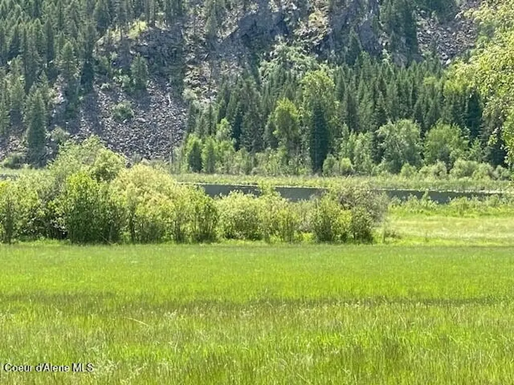 Nna 80 Acres Blue Lake Road Priest River ID 83856