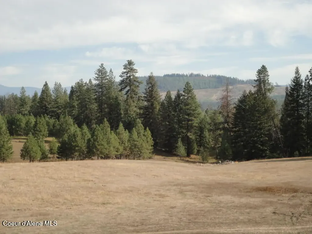 149 Meadow Road St. Maries ID 83861
