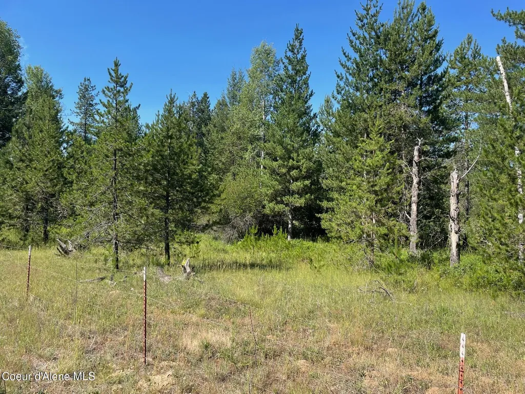 E 46+/- Acres Peninsula Road Priest River ID 83856