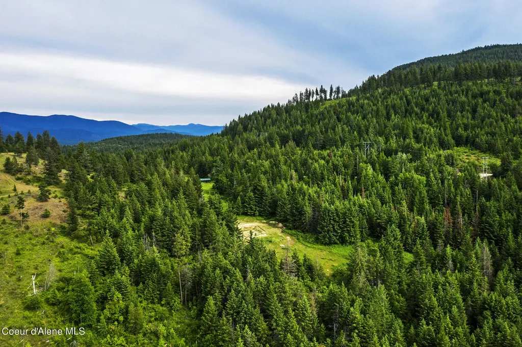 139 Two Tail Road Bonners Ferry ID 83805