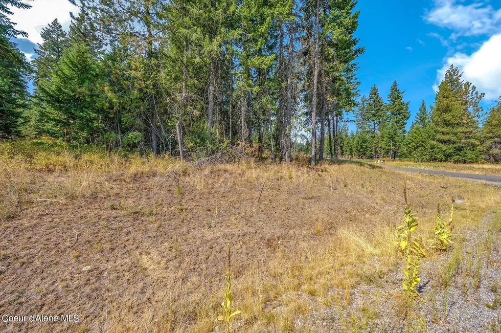 L6B9 N Walden Loop Rathdrum ID 83858