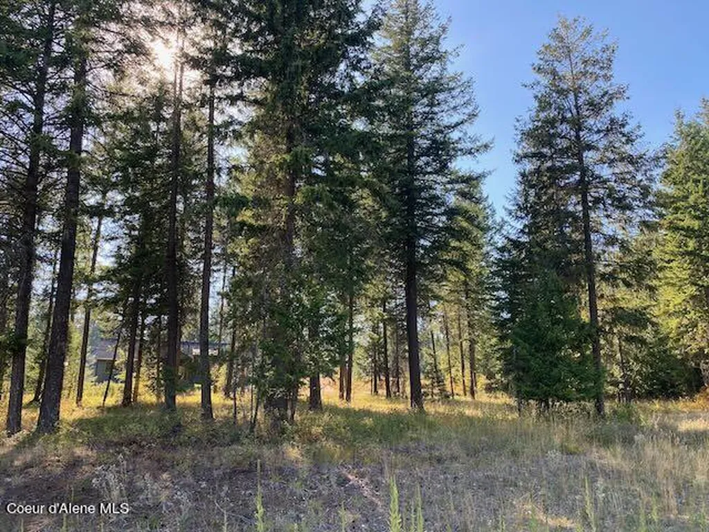 L4B10 N Walden Loop Rathdrum ID 83858