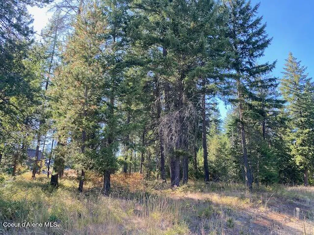 L4B10 N Walden Loop Rathdrum ID 83858