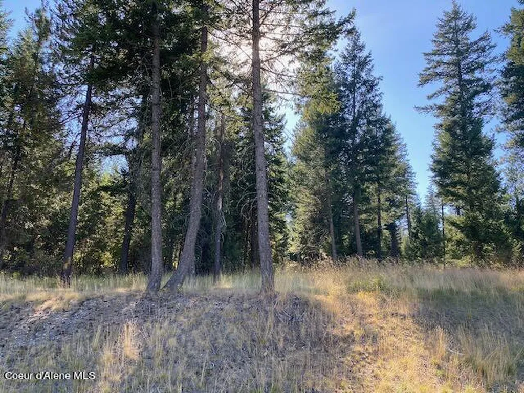 L4B10 N Walden Loop Rathdrum ID 83858