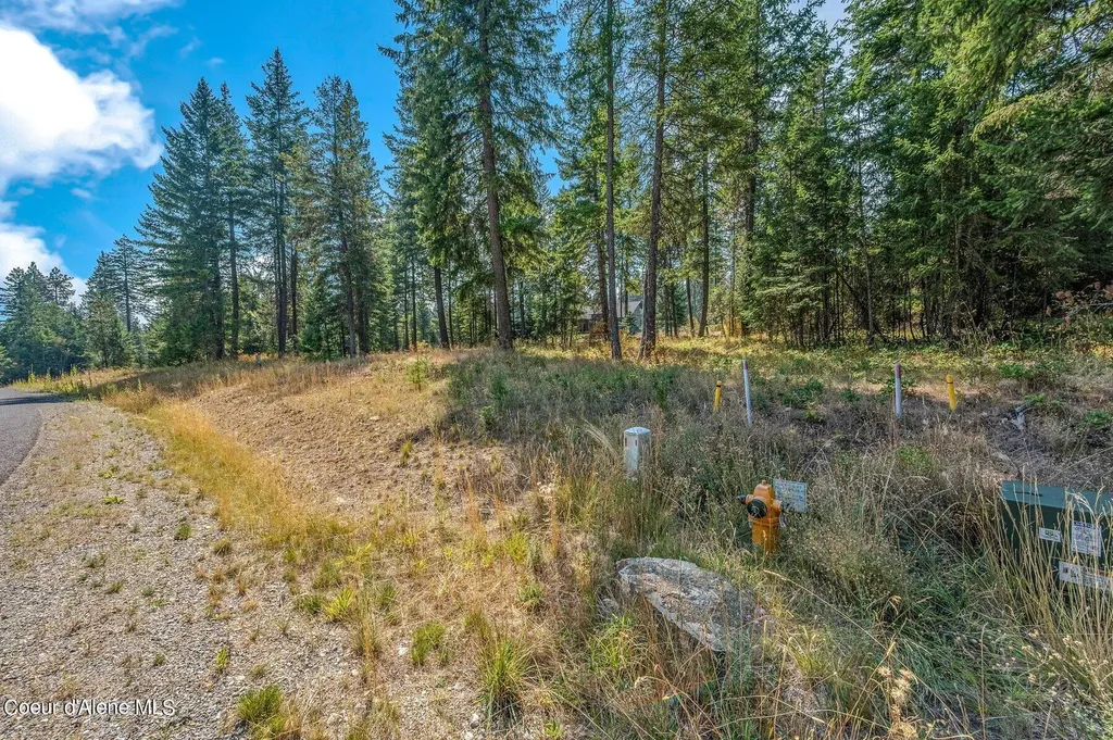 L4B10 N Walden Loop Rathdrum ID 83858