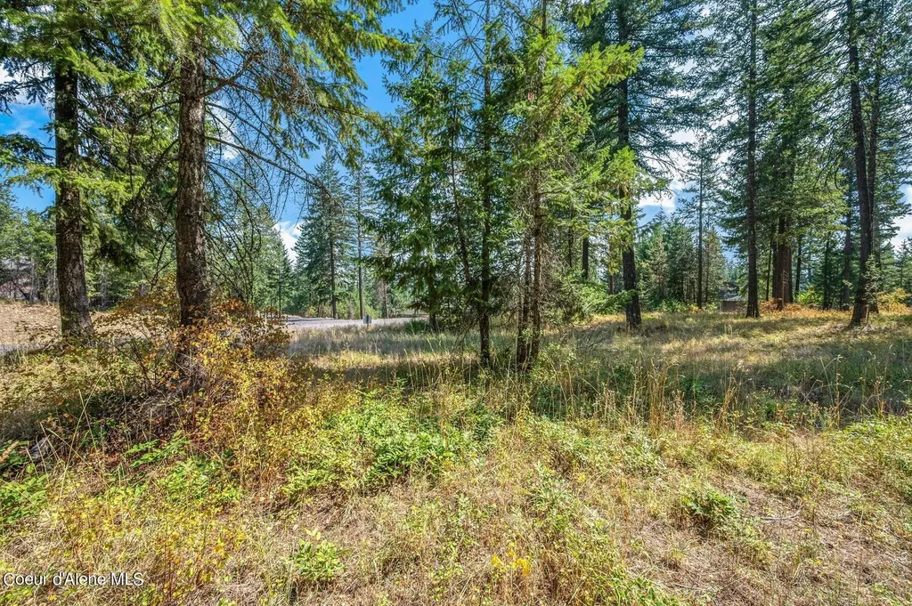 L4B10 N Walden Loop Rathdrum ID 83858