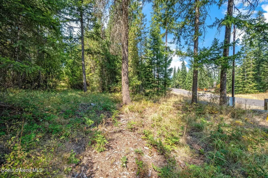 L4B10 N Walden Loop Rathdrum ID 83858