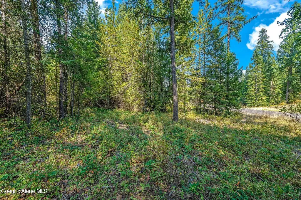L4B10 N Walden Loop Rathdrum ID 83858