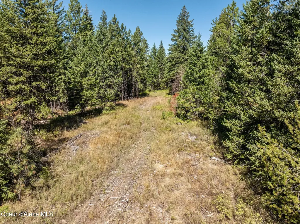 645 Cardinal Lane Spirit Lake ID 83869