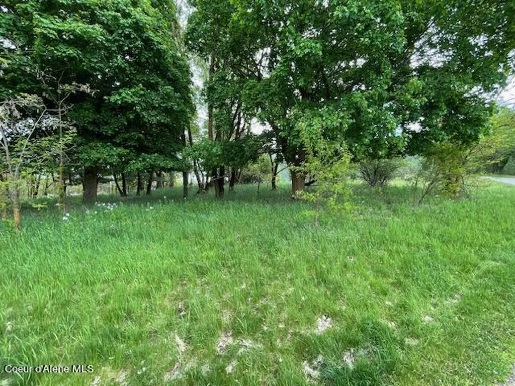 103 Commonwealth Court Kellogg ID 83837