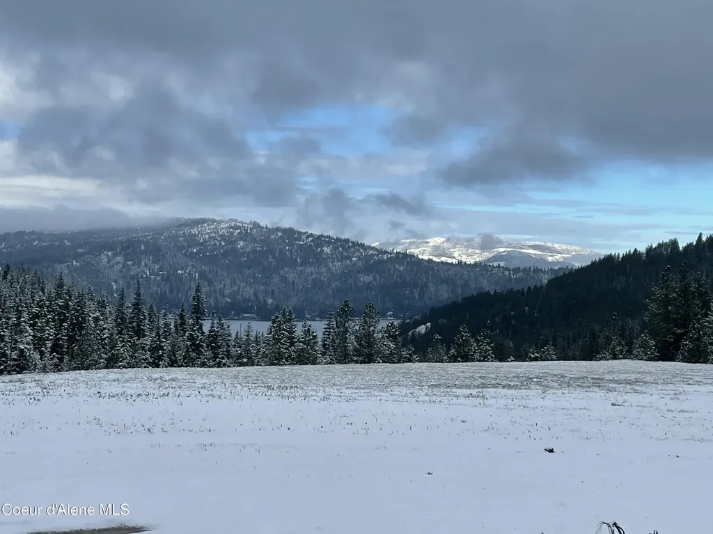 11065 S Carlin Bay Road Harrison ID 83833