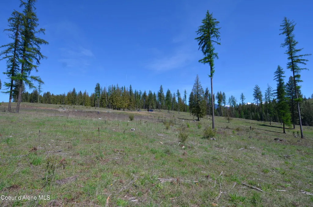 Lot 16 Camp Bay Road Sagle ID 83860