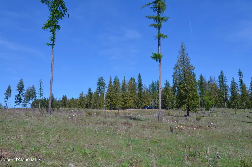 Lot 16 Camp Bay Road Sagle ID 83860