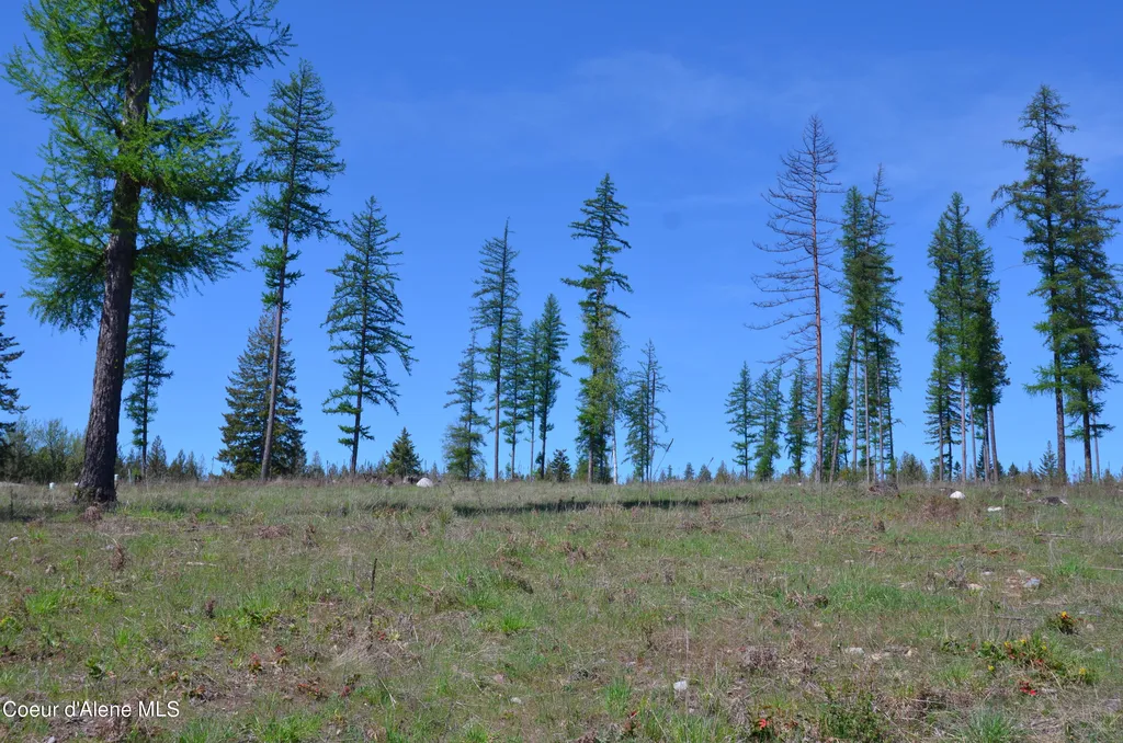 Lot 16 Camp Bay Road Sagle ID 83860