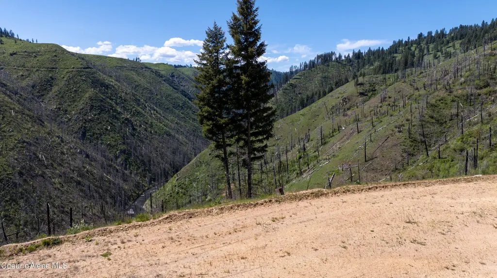 2912 Lolo Creek Road Weippe ID 83553