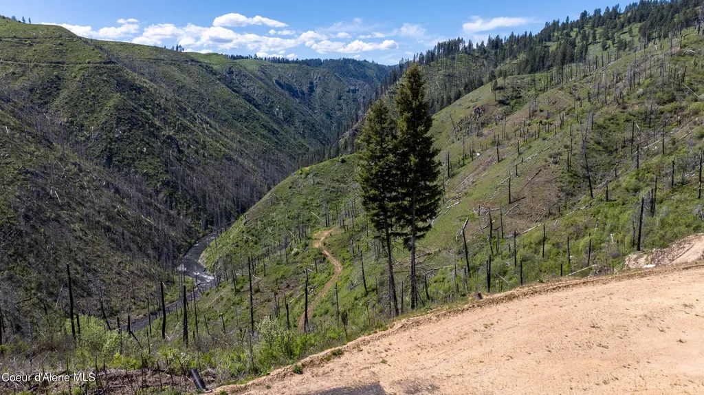 2912 Lolo Creek Road Weippe ID 83553