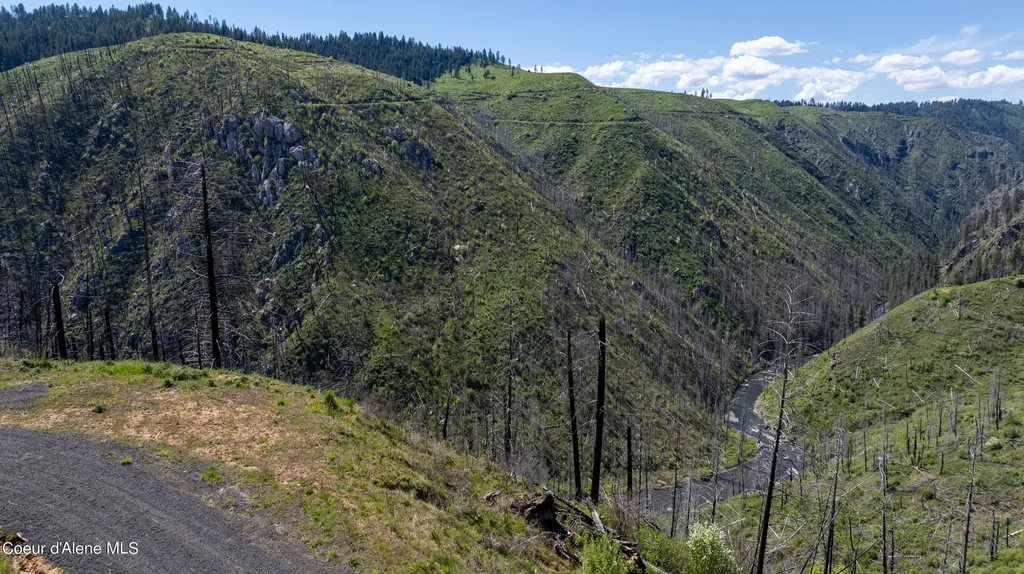 2912 Lolo Creek Road Weippe ID 83553