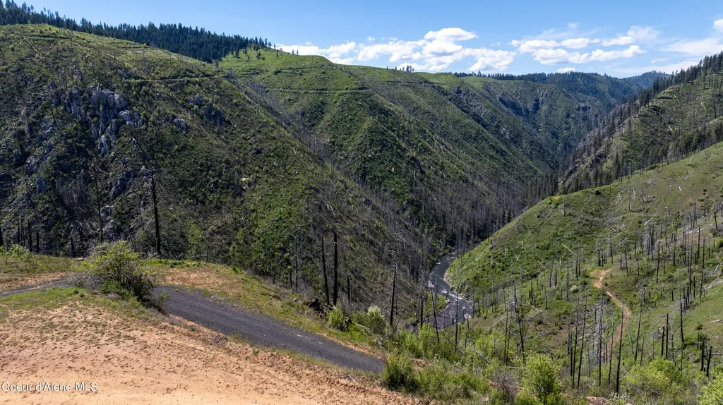 2912 Lolo Creek Road Weippe ID 83553