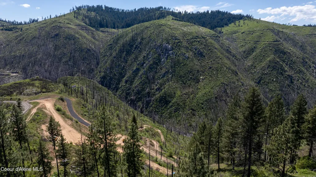 2912 Lolo Creek Road Weippe ID 83553