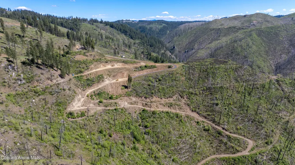2912 Lolo Creek Road Weippe ID 83553