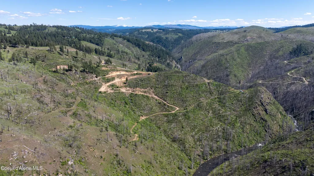 2912 Lolo Creek Road Weippe ID 83553