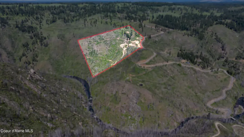 2912 Lolo Creek Road Weippe ID 83553