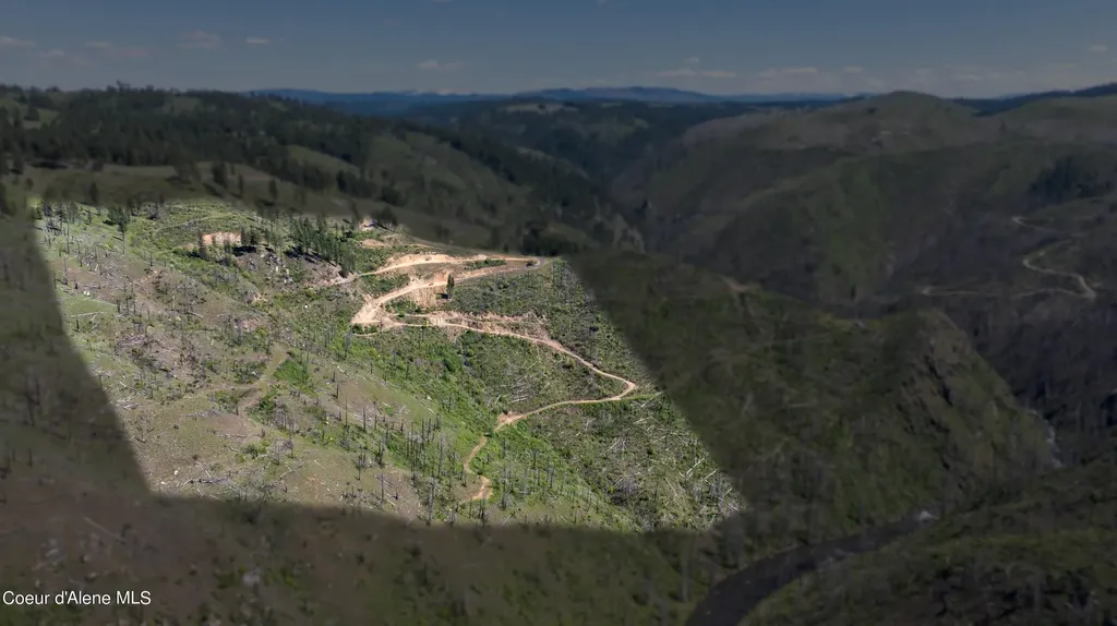 2912 Lolo Creek Road Weippe ID 83553