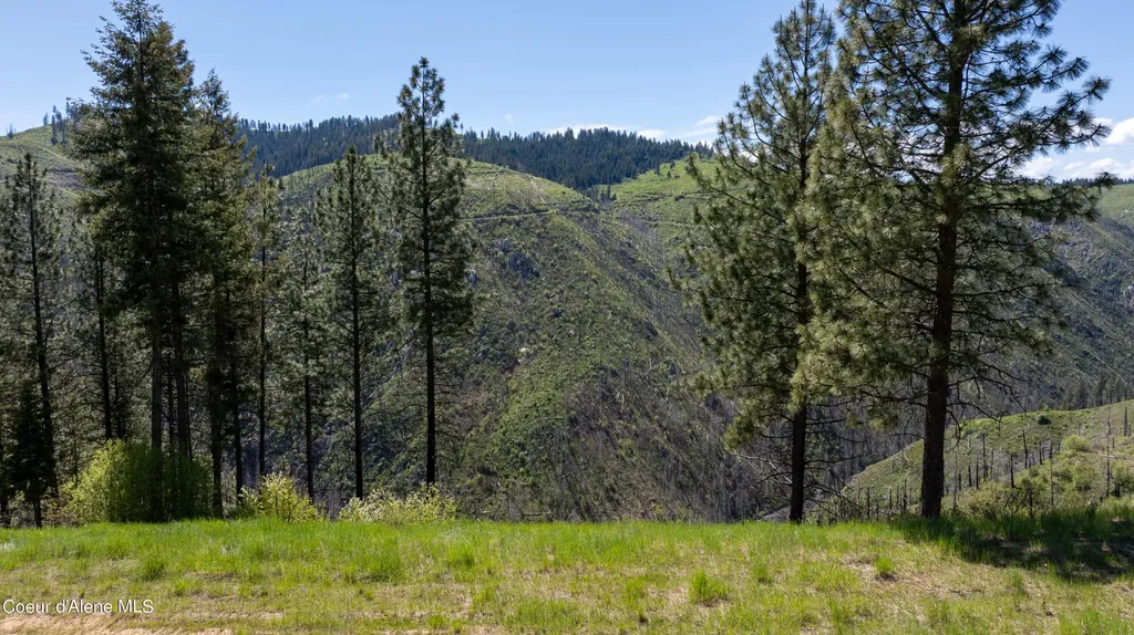 2912 Lolo Creek Road Weippe ID 83553