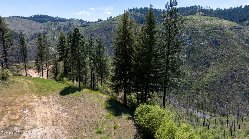 2912 Lolo Creek Road Weippe ID 83553