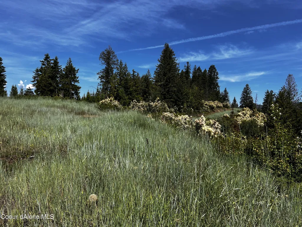 Nka S Asbury (194 Acres) Road Harrison ID 83833