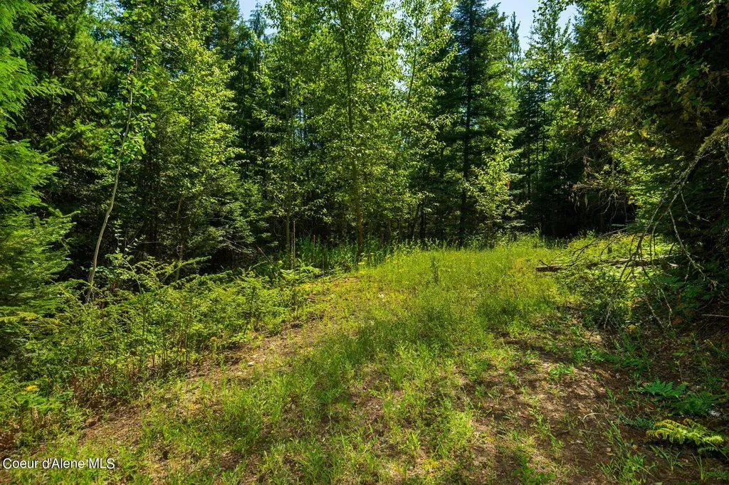 Nka Lower Pack River Road Sandpoint ID 83864