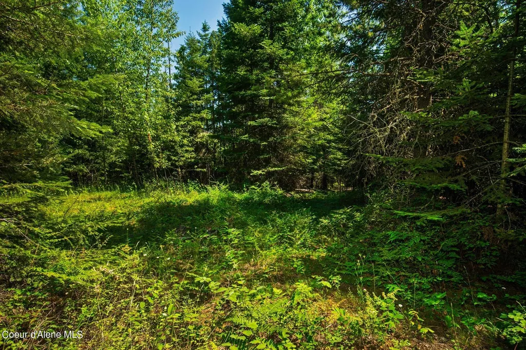 Nka Lower Pack River Road Sandpoint ID 83864