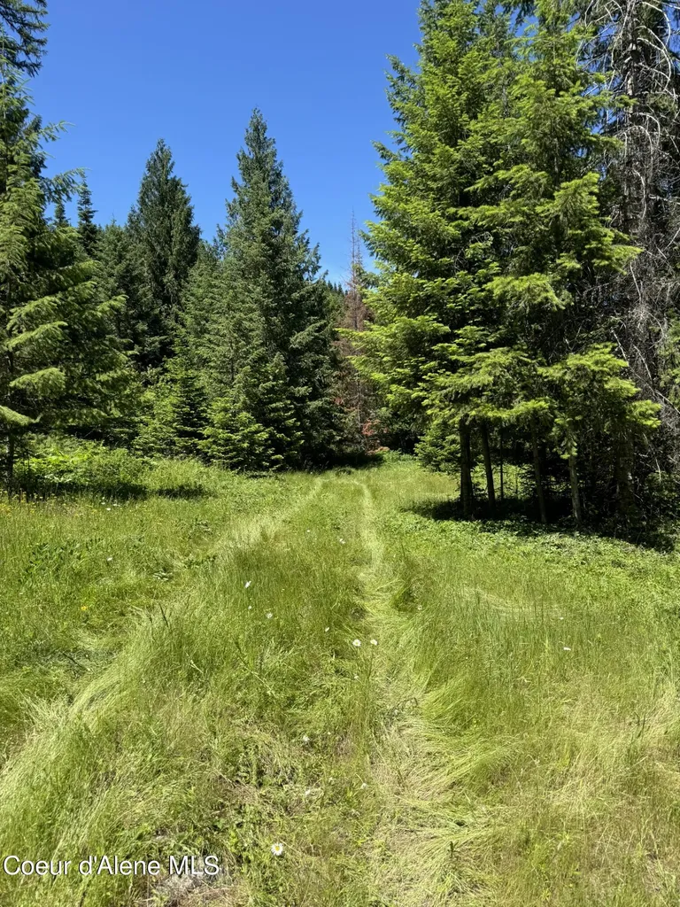 7362 S Dicks Creek Road Kendrick ID 83537