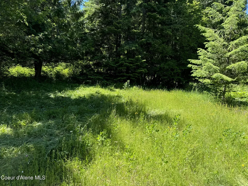 7362 S Dicks Creek Road Kendrick ID 83537
