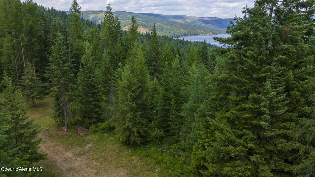 7362 S Dicks Creek Road Kendrick ID 83537