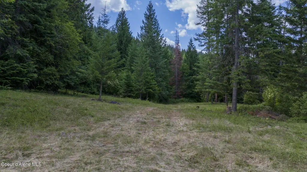 7362 S Dicks Creek Road Kendrick ID 83537