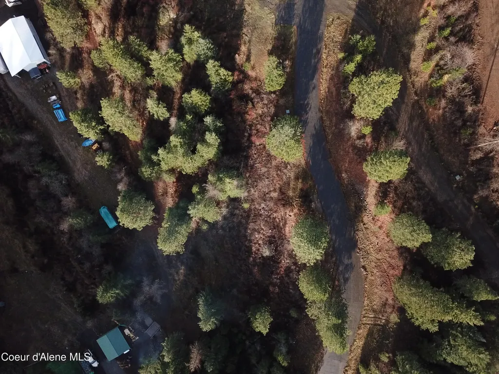 Lot 6 Flying Eagle Drive Harrison ID 83833