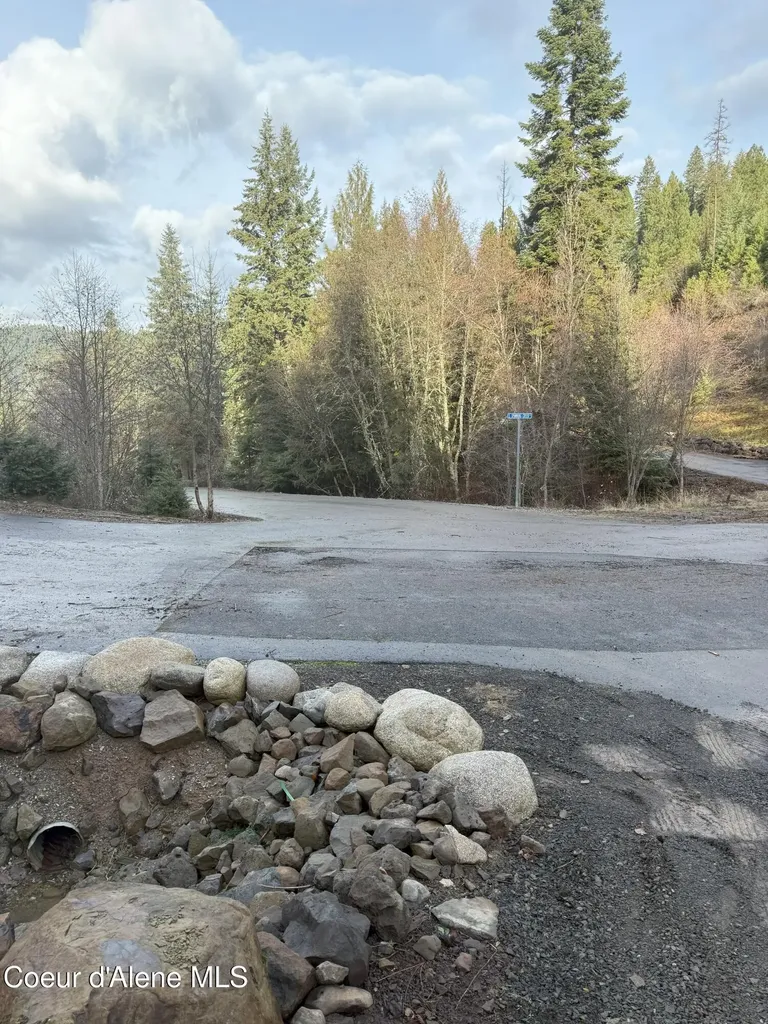 Lot 6 Flying Eagle Drive Harrison ID 83833