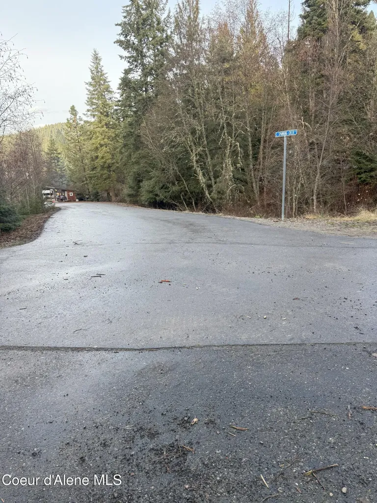 Lot 6 Flying Eagle Drive Harrison ID 83833